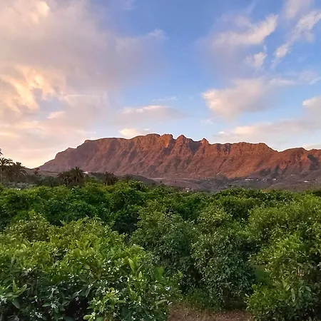 Farm stay Django Santa Lucia De Tirajana