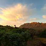 Farm stay Django